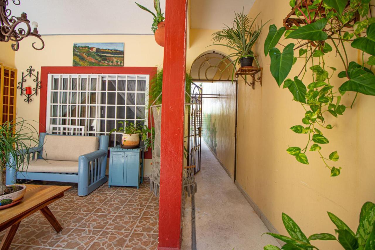 La Casa Del Almendro Hotel Playa del Carmen Eksteriør billede